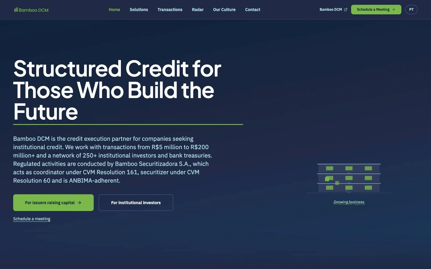 Bamboo DCM website design preview with navy and green styling